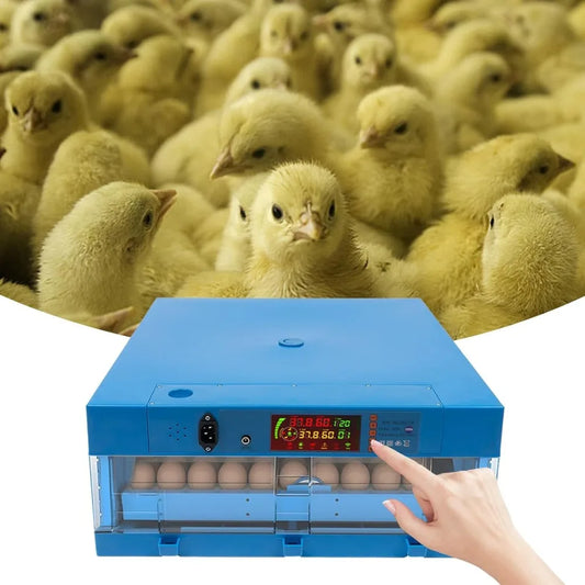 Incubatrice per uova 220V Macchina da cova automatica Temperatura e umidità regolabili Rotazione automatica di 360 gradi