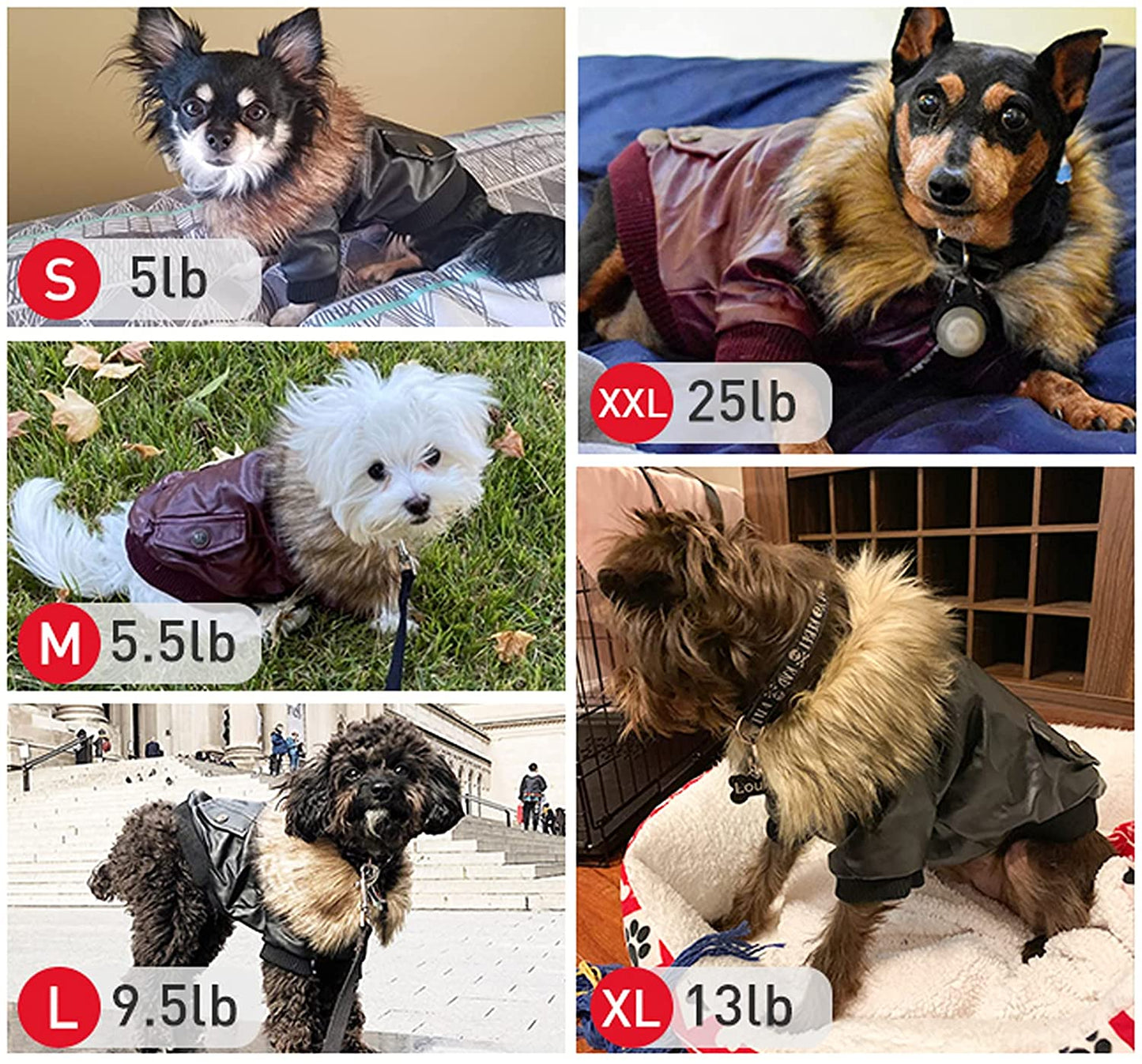Cappotti per cani in pelle impermeabile