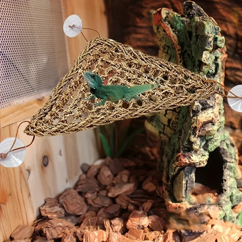 Amaca per animali esotici