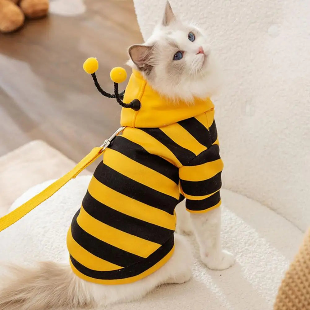 Costume da "apetta" per cani e gatti