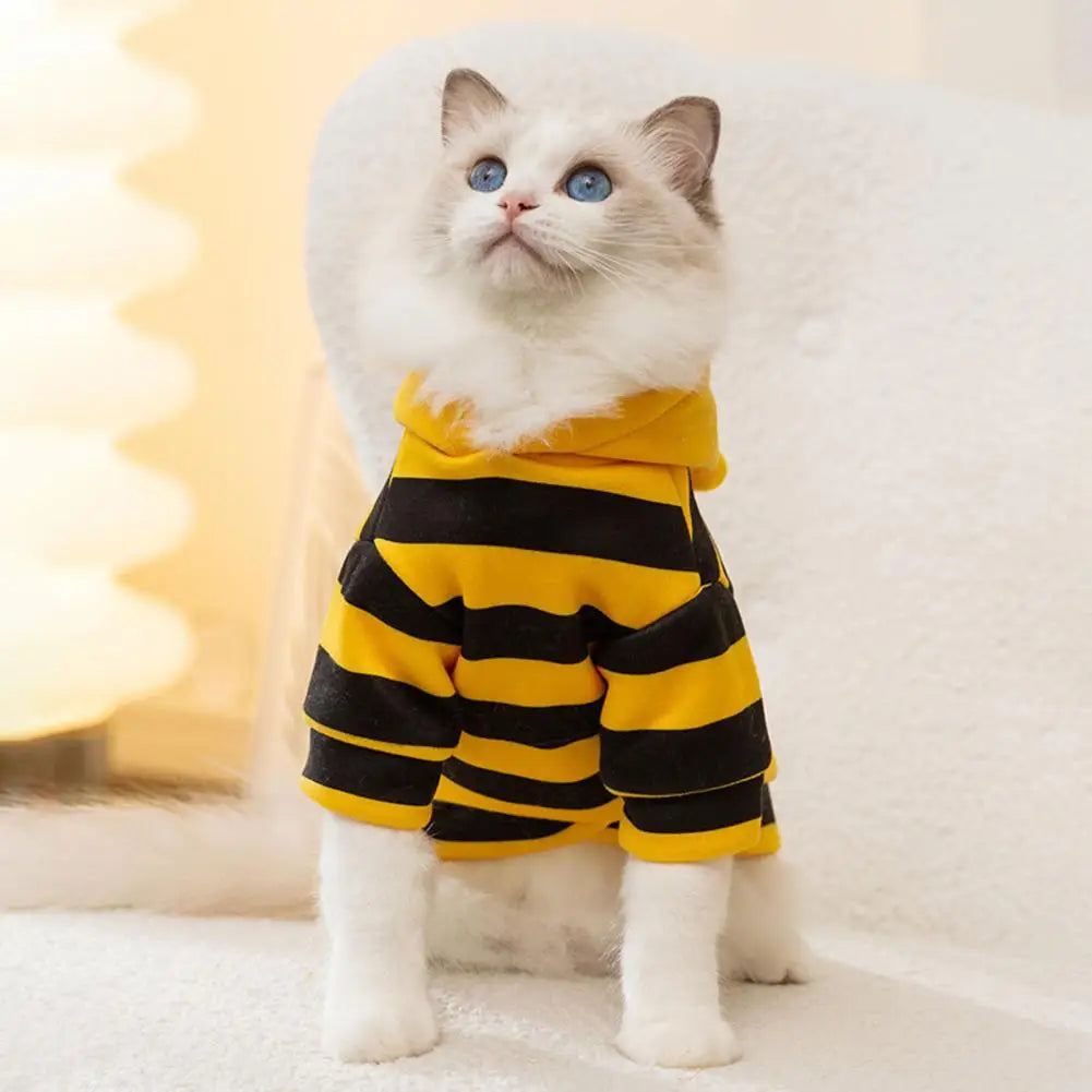Costume da "apetta" per cani e gatti