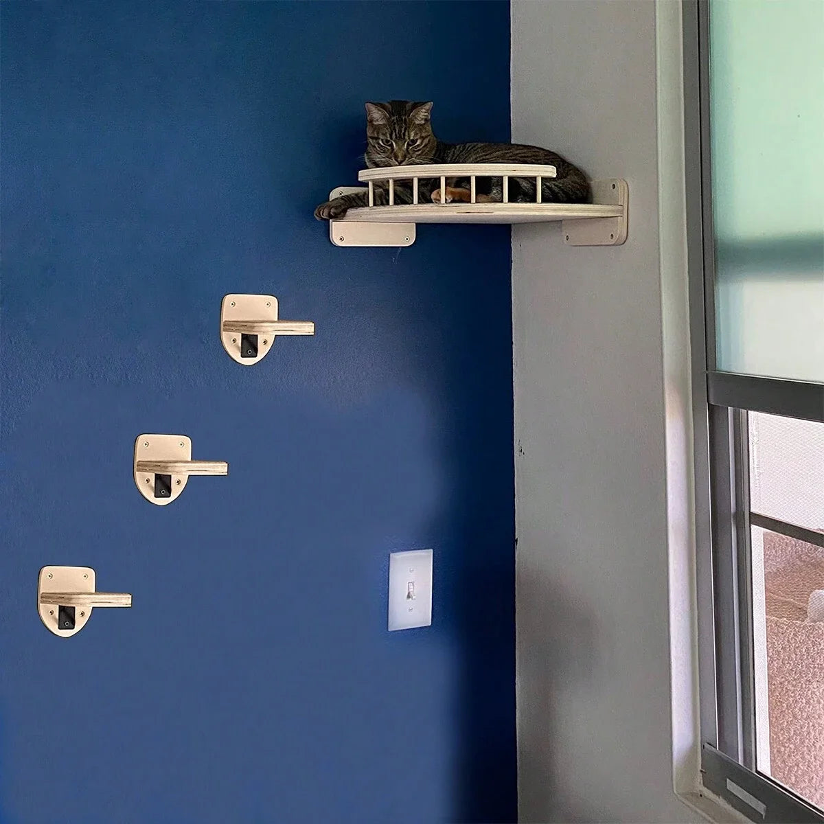 3/4 pezzi amaca angolare gatti