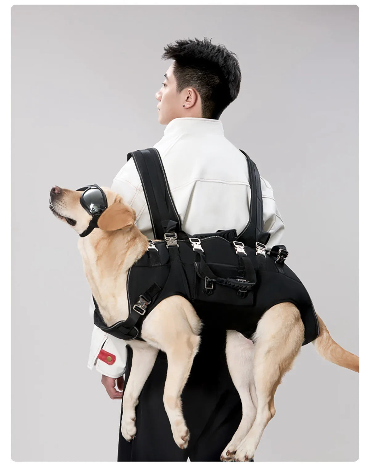 Zaino con logo personalizzato per cani Imbracatura per cani per tutto il corpo con manico Imbracature per sollevamento cani per cani anziani Cani disabili Forniture per animali domestici