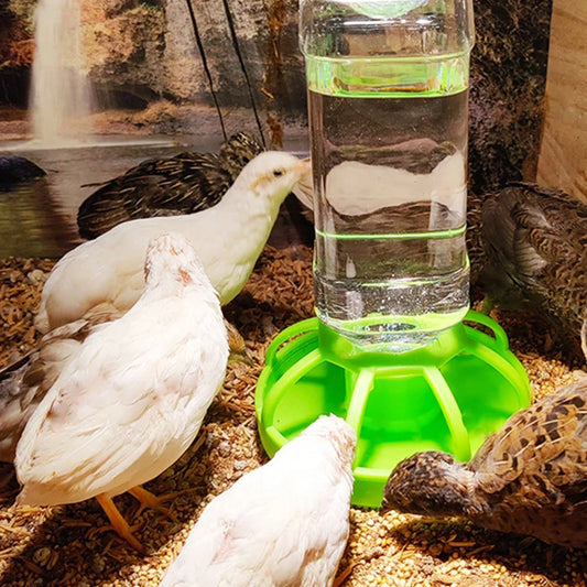 Alimentatore d'acqua per rettili 1 pz, stoccaggio automatico dell'acqua, adatto per piccoli animali, accessorio specifico per animali domestici striscianti per l'idratazione