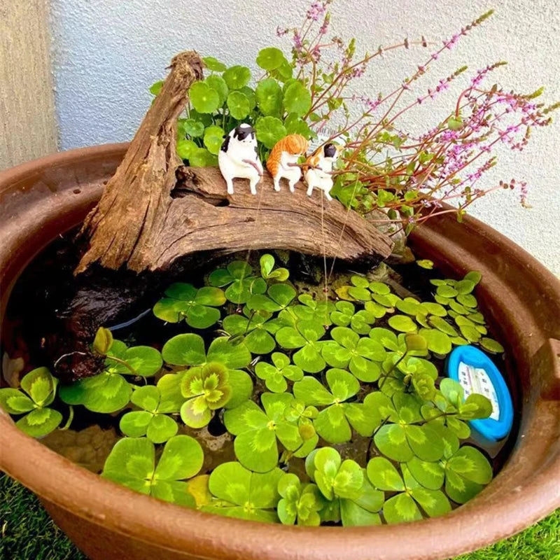 Decorazione per Acquario/scrivania