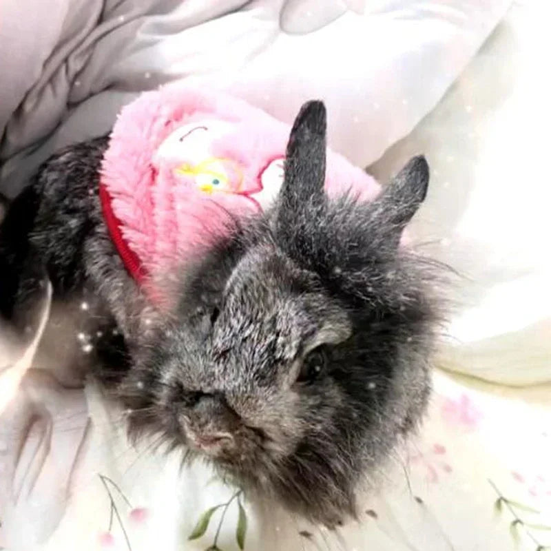 Maglioncino a tema, invernale gatti/cuccioli