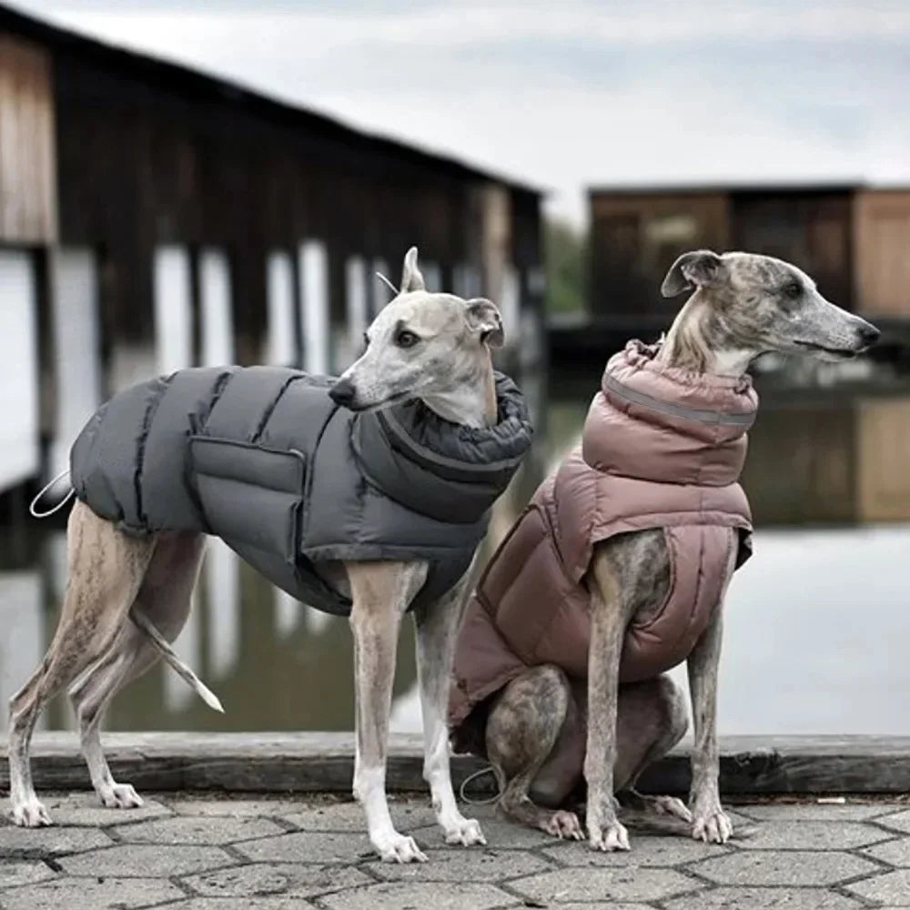 Gilet piumino cani