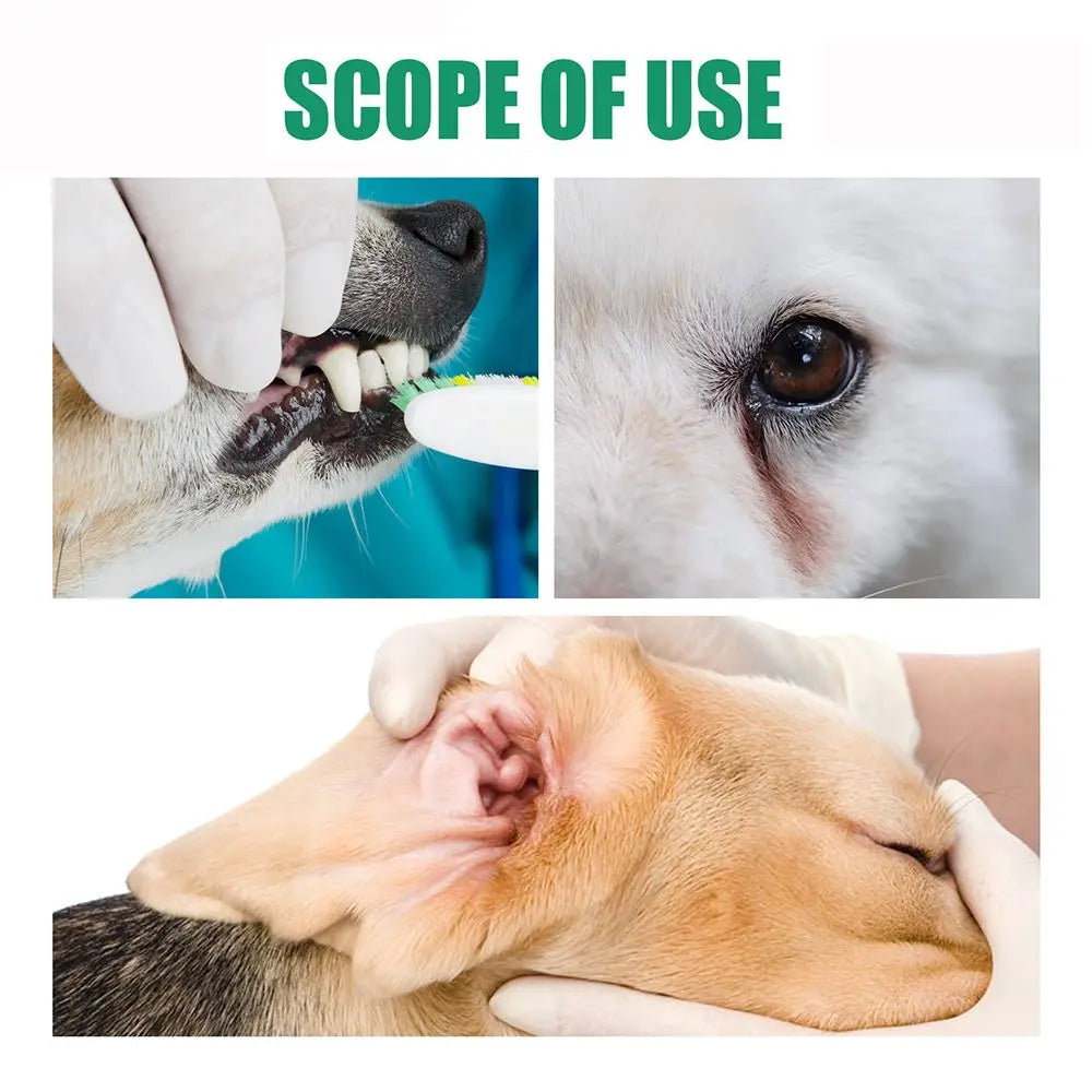 20 Pz per igiene dentale animali
