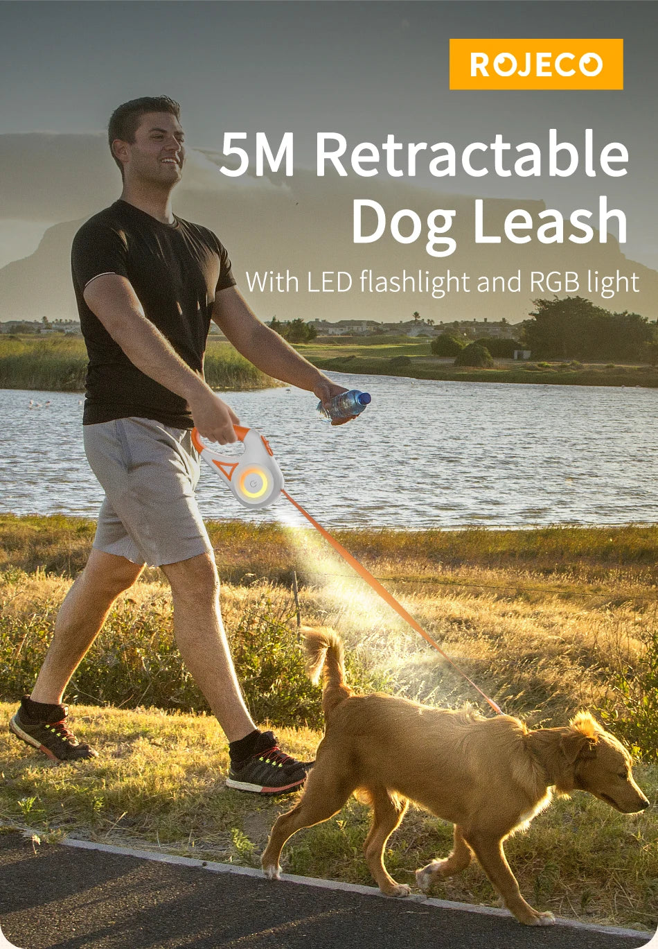 ROJECO 5M Guinzaglio automatico per cani Retrattile LED Luminoso Leading Cinghie luminose di moda per cuccioli di cane Pet Flexi Walking Running Piombo