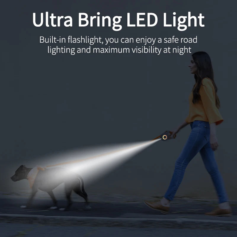 ROJECO 5M Guinzaglio automatico per cani Retrattile LED Luminoso Leading Cinghie luminose di moda per cuccioli di cane Pet Flexi Walking Running Piombo