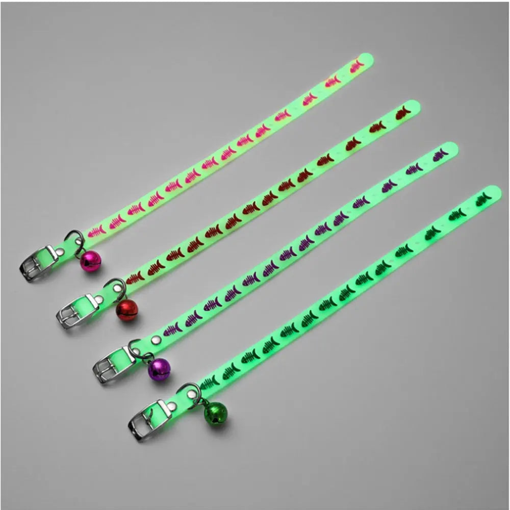Collari luminosi per animali domestici