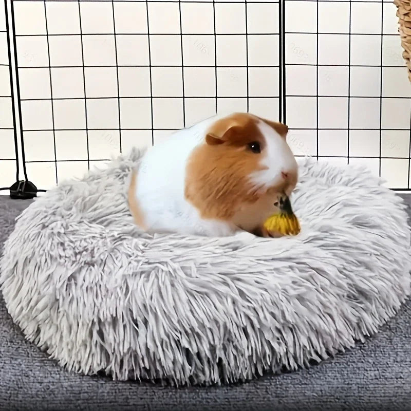 Cuccia invernale per piccoli animali
