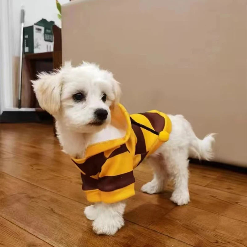 Felpa con cappuccio costume ape per cani