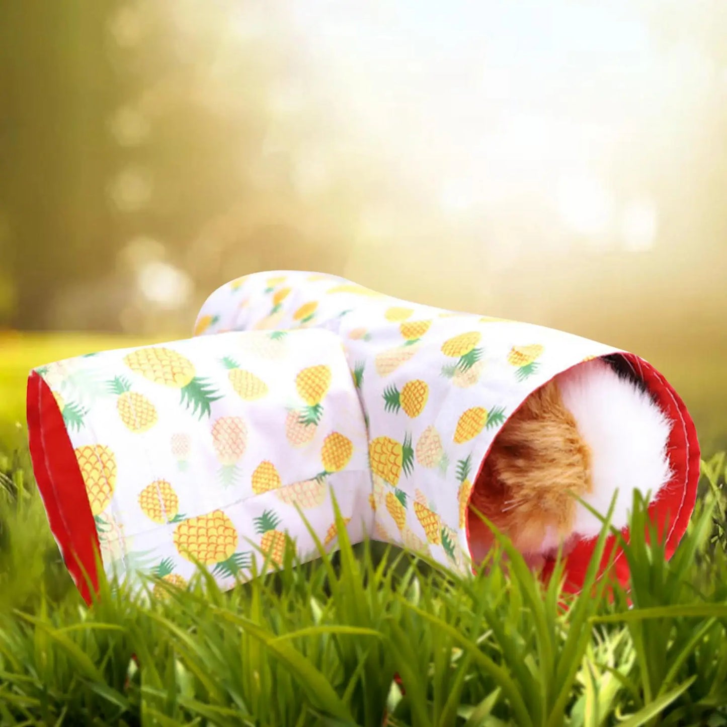 Tunnel da gioco per piccoli animali