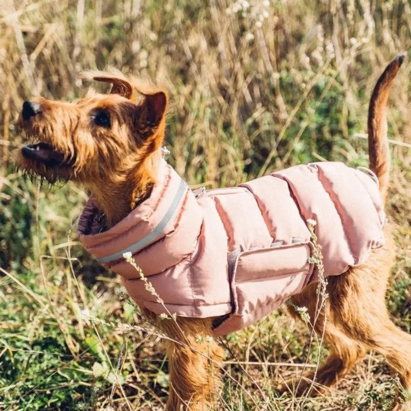 Gilet piumino cani