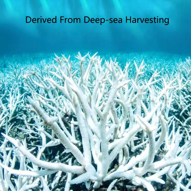 Filtro per acquario con osso di corallo di barriera corallina naturale di alta qualità materiale biologico medio sabbie di corallo per la filtrazione del serbatoio di pesce fisso PH