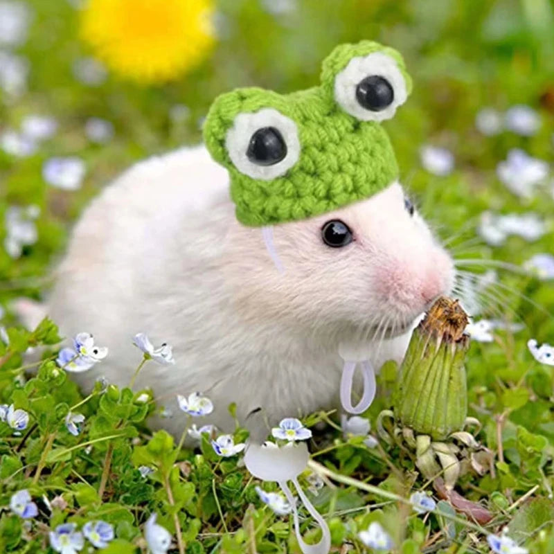 Cappellino per piccoli animali fatto a mano