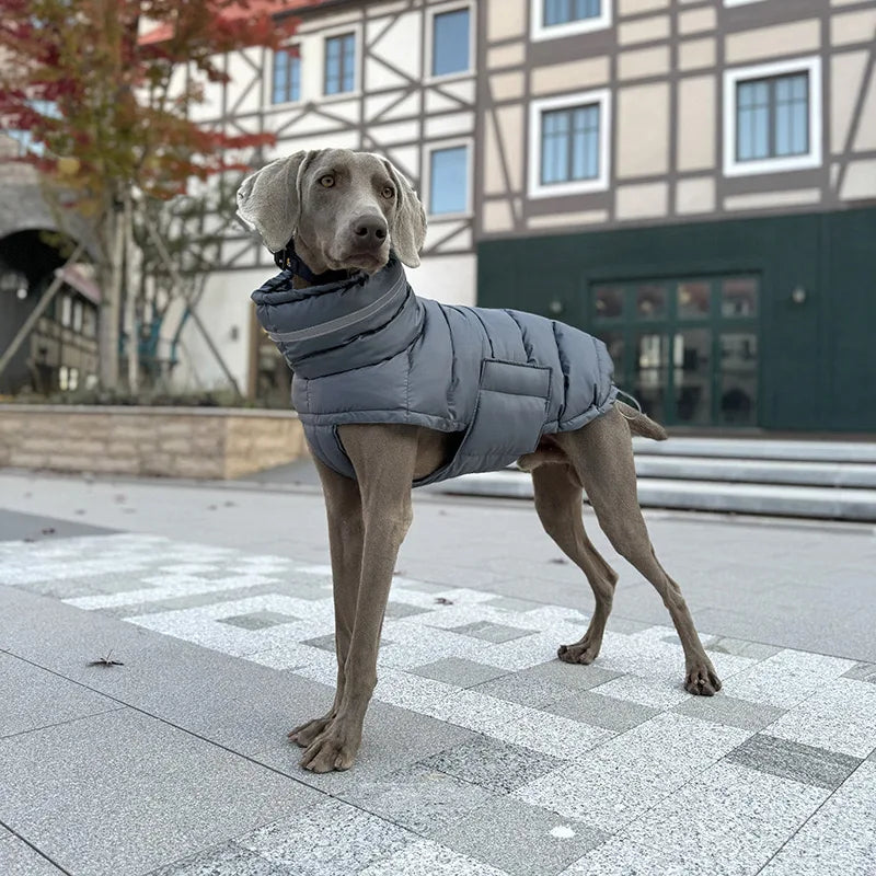 Gilet piumino cani