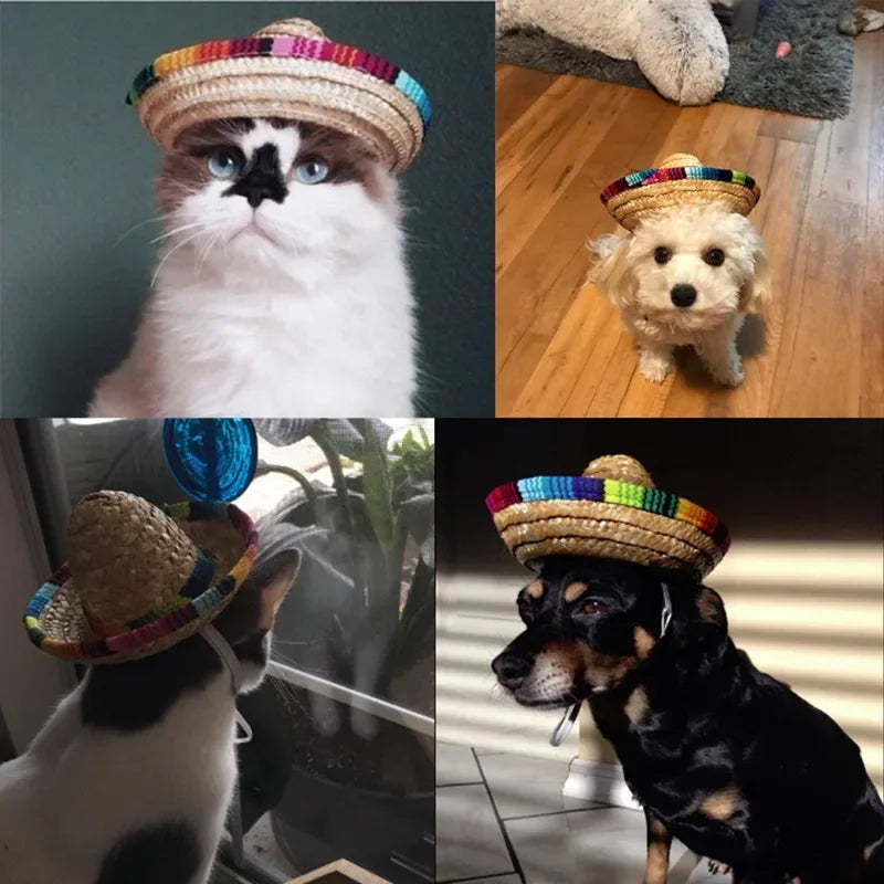 Sombrero di paglia per animali