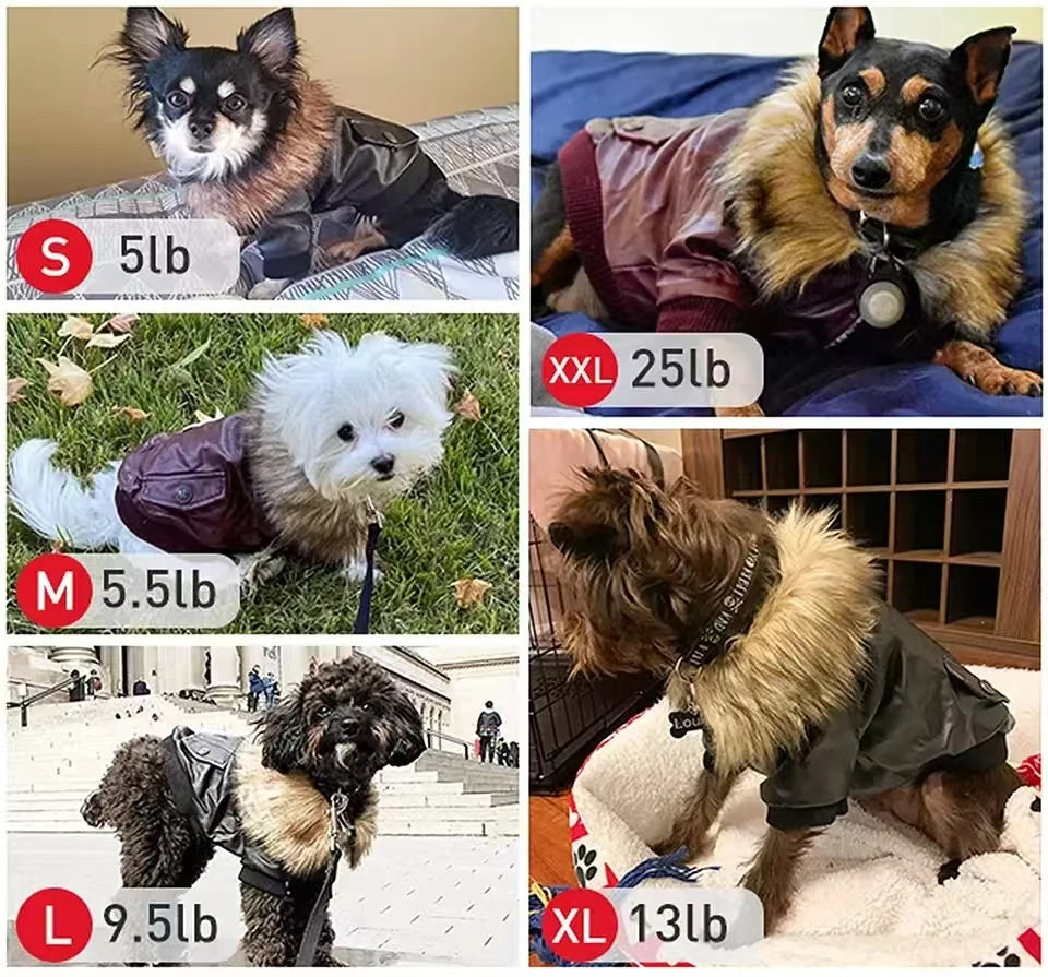 Cappotti per cani in pelle impermeabile