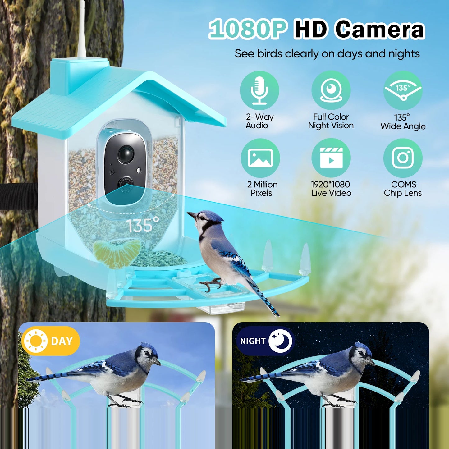 Mangiatoia per uccelli con fotocamera AI Identifica le specie degli uccelli Registrazione automatica delle video ad energia solare nel cortile Notifiche istantanee Amanti degli uccelli