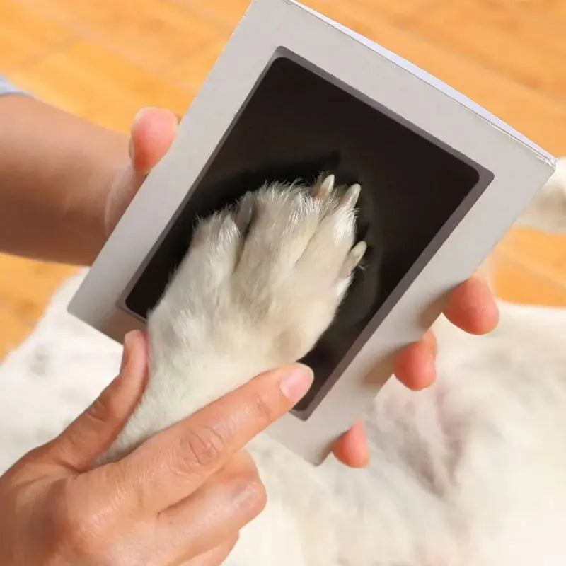 Gatto Zampa di cane Stampa Touch pulito Tampone di inchiostro Facile fai da te Impronte di mani Tampon di inchiostro Cani da compagnia Gatti Zampa Naso Stampe Regali souvenir