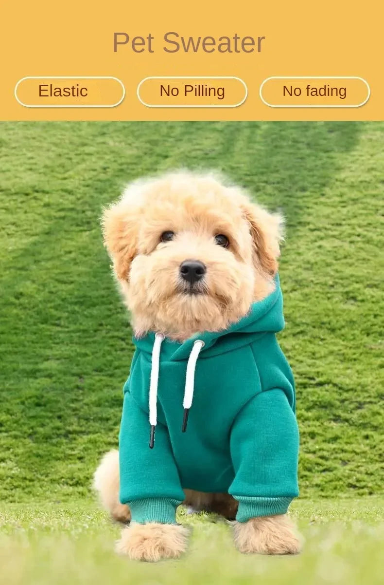 Felpa con cappuccio per cani