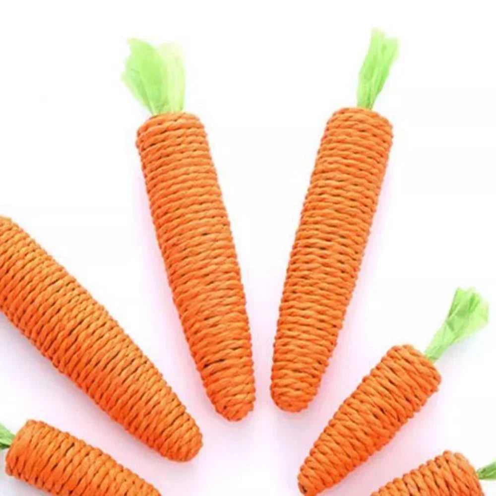 Giocattolo per animali carota