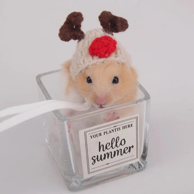 Cappellino per piccoli animali fatto a mano