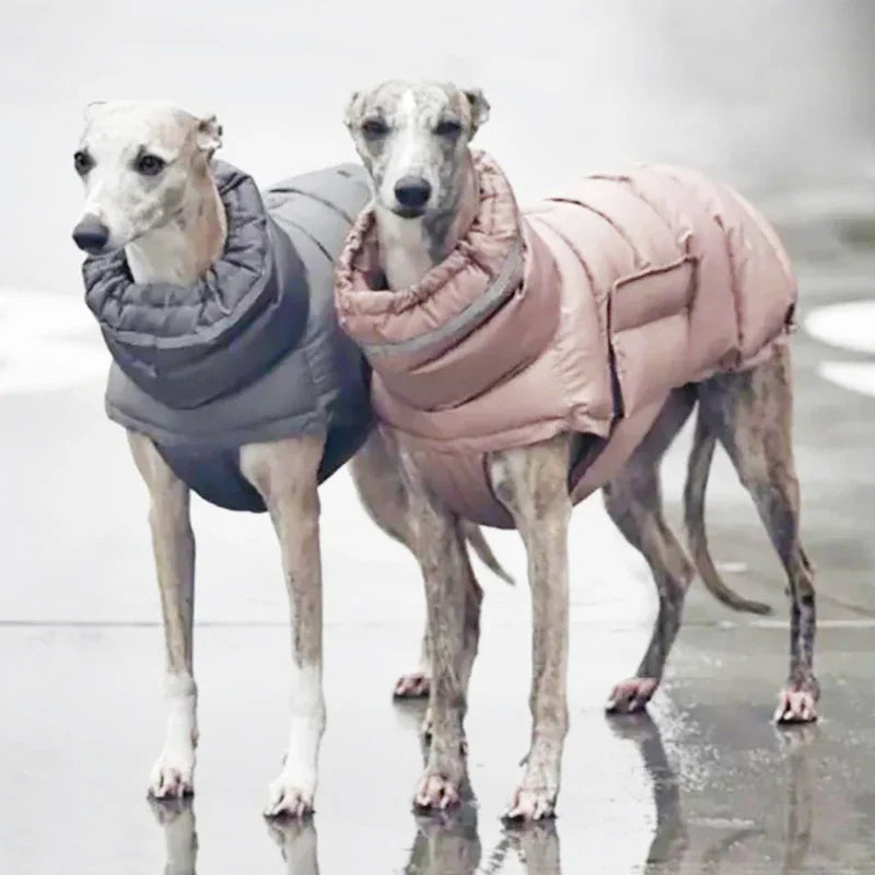 Gilet piumino cani