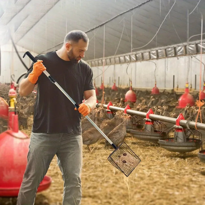 Paletta per lettiera per gatti estensibile Pala per setacciatura per pollaio Manico lungo Accessori in metallo Strumenti per la separazione di cacca e detriti da giardino