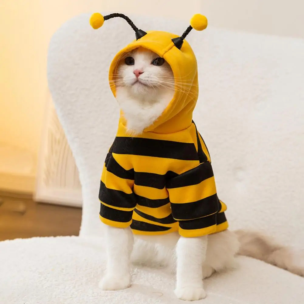 Costume da "apetta" per cani e gatti