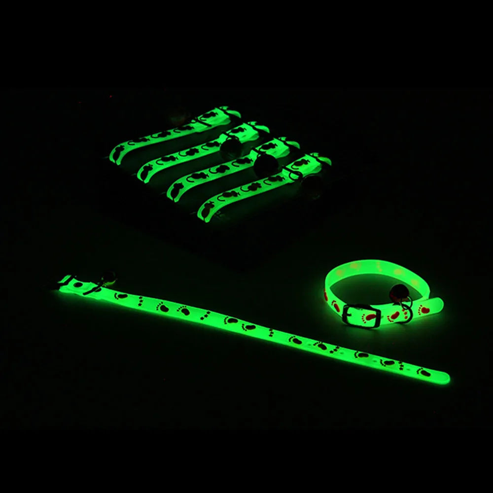 Collari luminosi per animali domestici