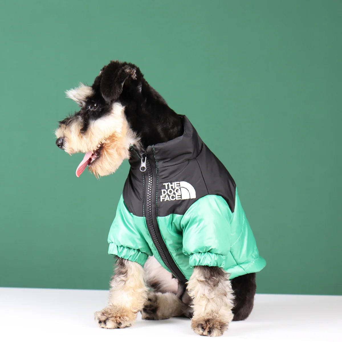 Vestiti invernali per cani di piccola taglia e media