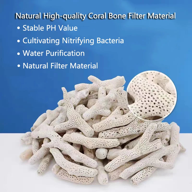 Filtro per acquario con osso di corallo di barriera corallina naturale di alta qualità materiale biologico medio sabbie di corallo per la filtrazione del serbatoio di pesce fisso PH