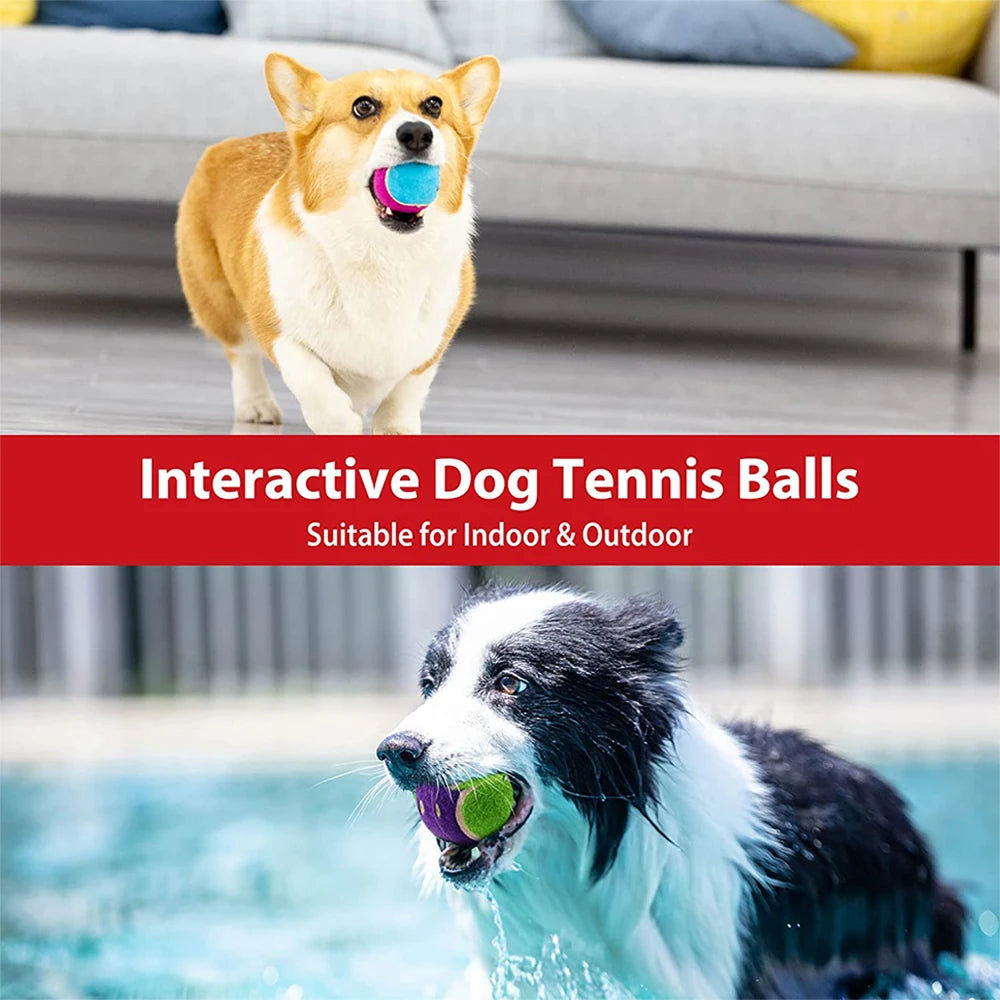 Palla da tennis cani con suono