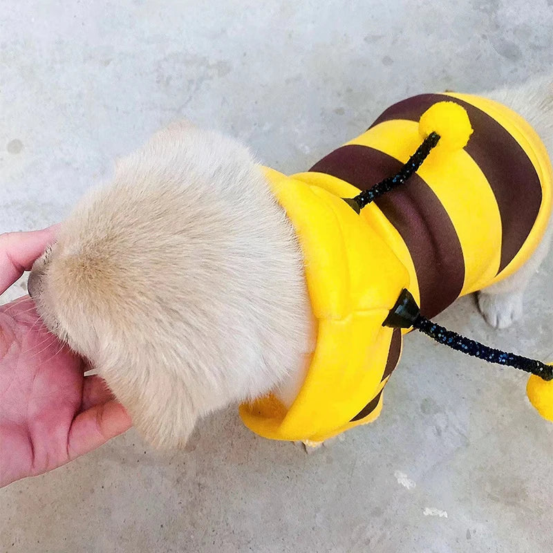 Felpa con cappuccio costume ape per cani