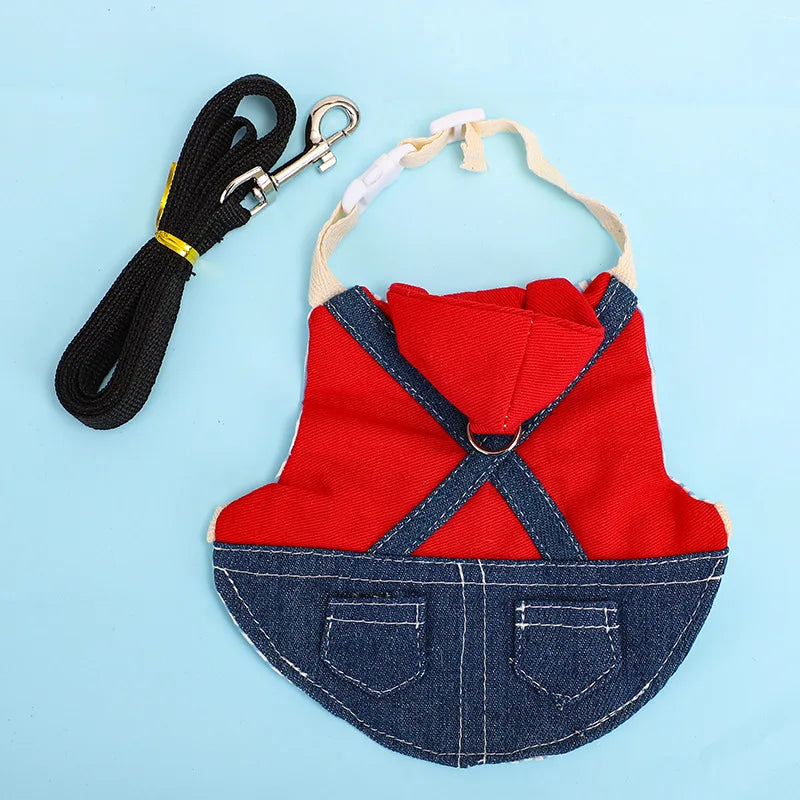Vestiti per conigli con guinzaglio