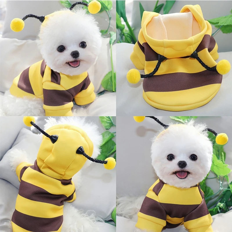 Felpa con cappuccio costume ape per cani