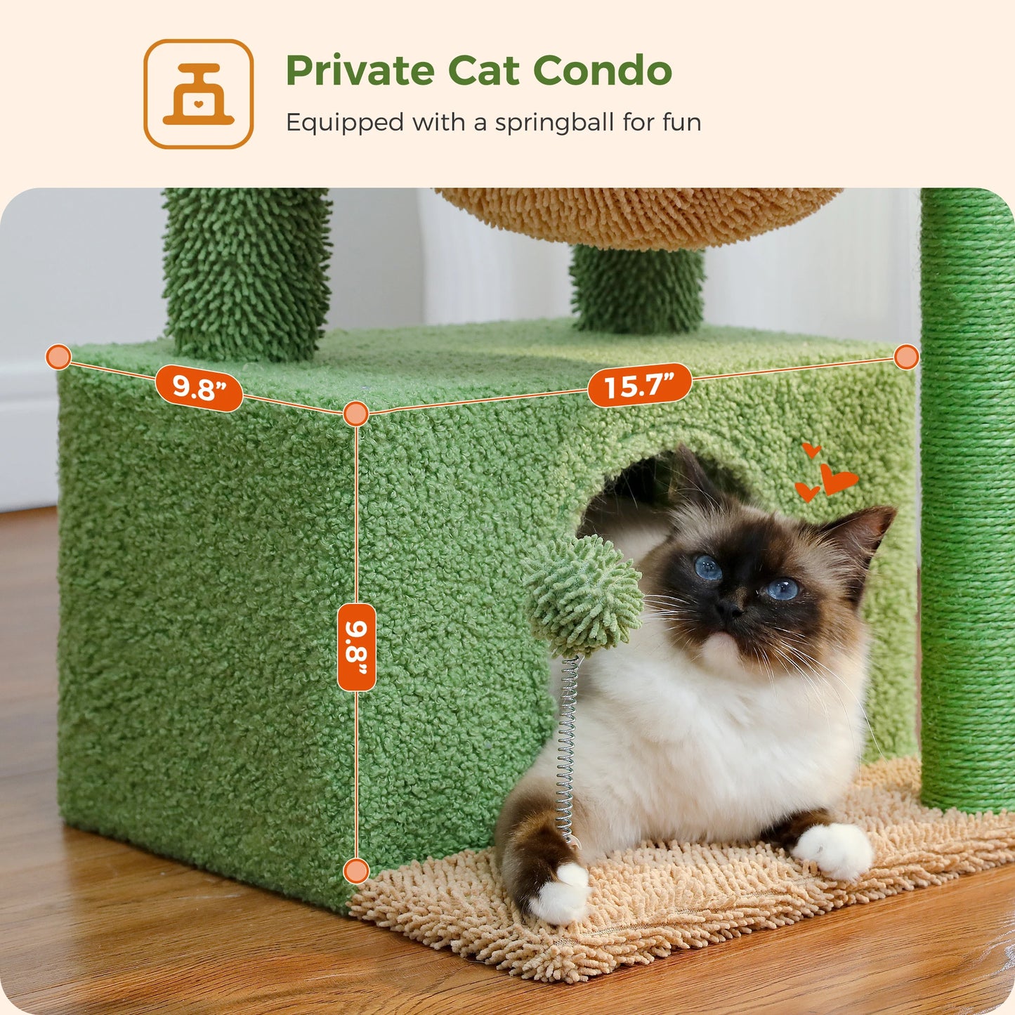 Albero per gatti cactus 4 in 1