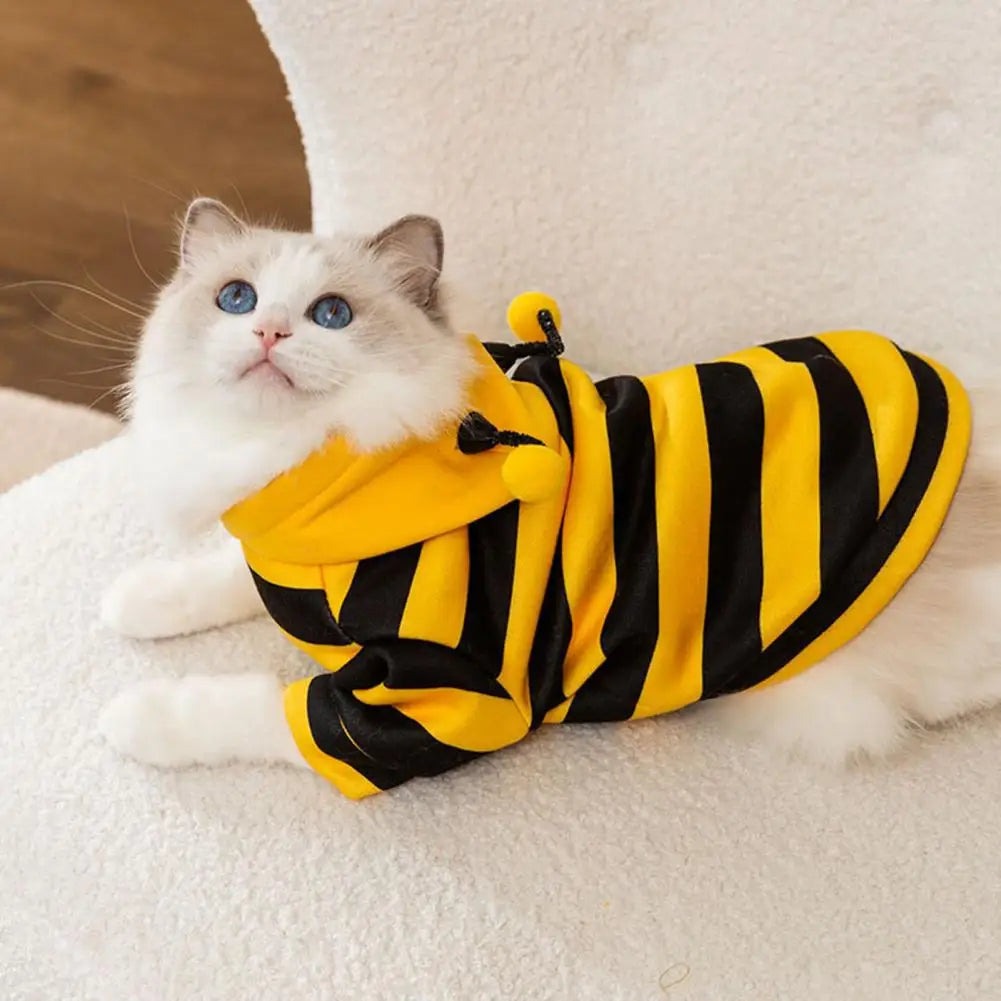 Costume da "apetta" per cani e gatti