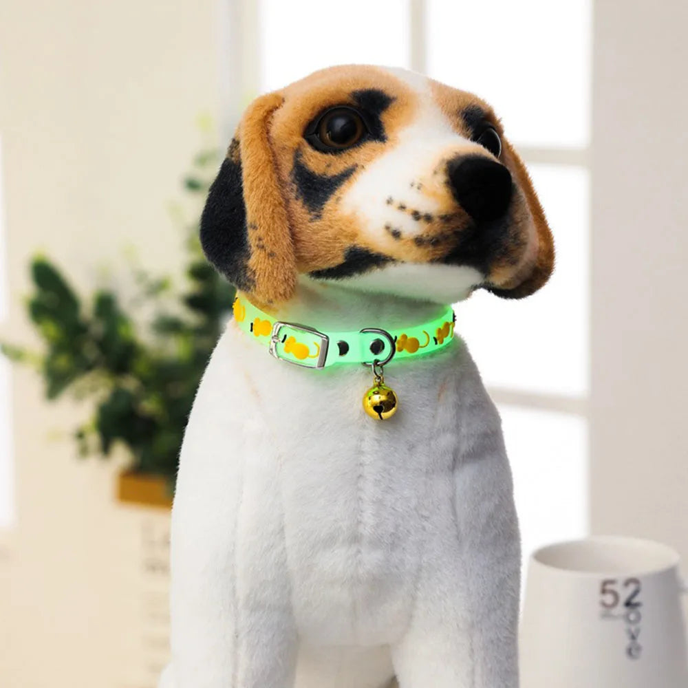 Collari luminosi per animali domestici