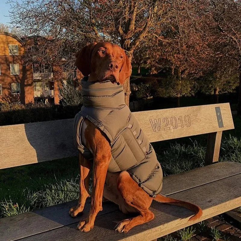 Gilet piumino cani