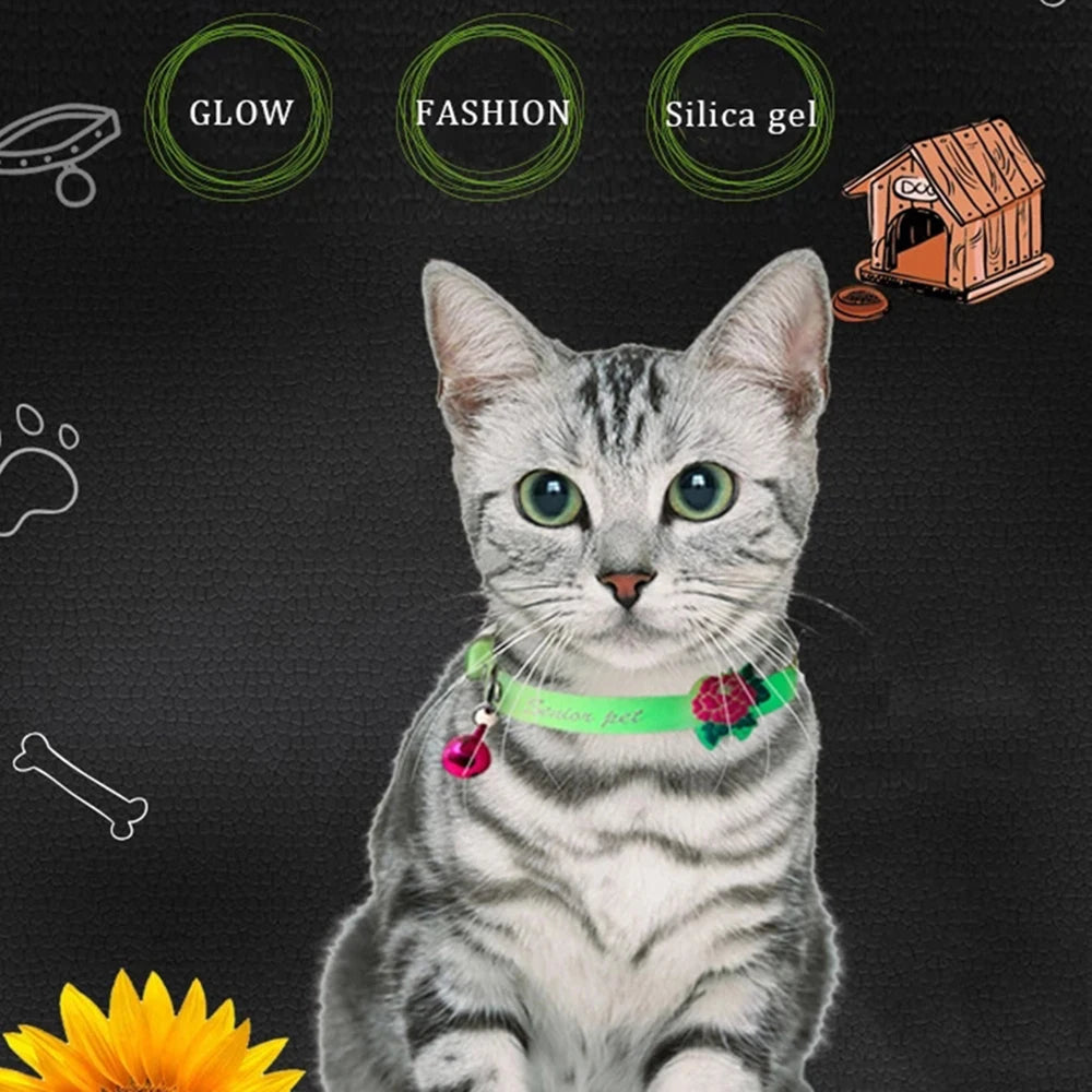 Collari luminosi per animali domestici