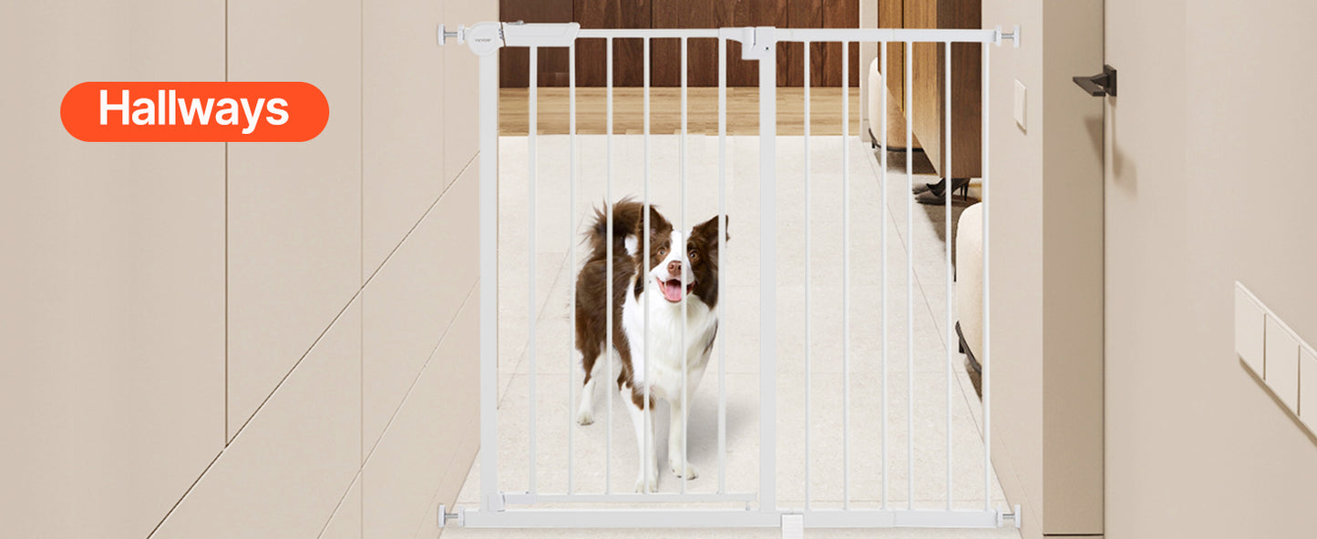 Cancello per cani