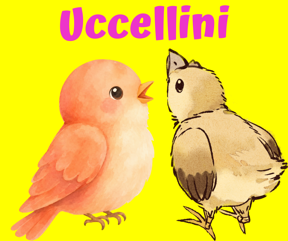 Uccellini