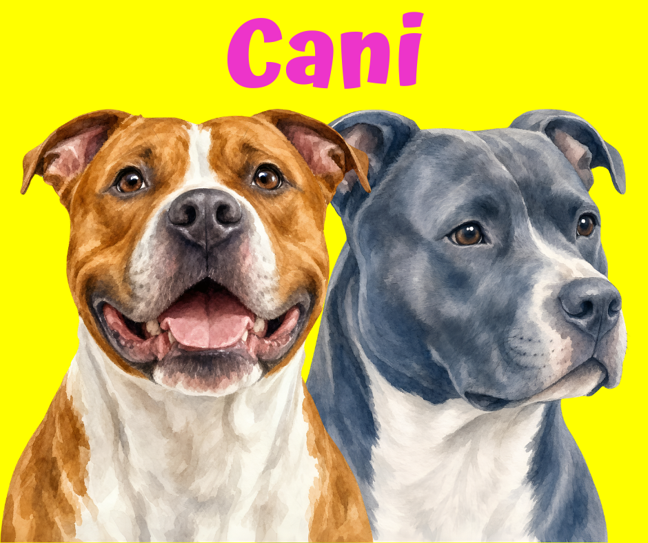 Cani