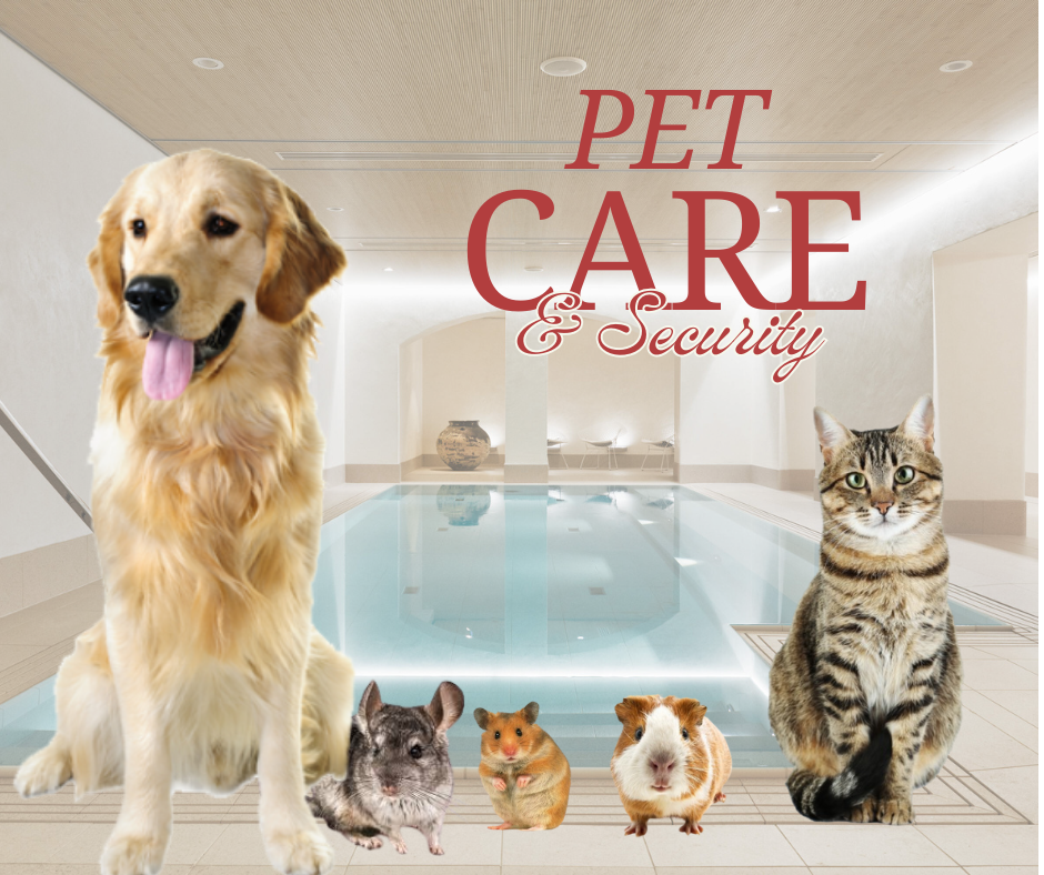 Shampoo e coccole!!!