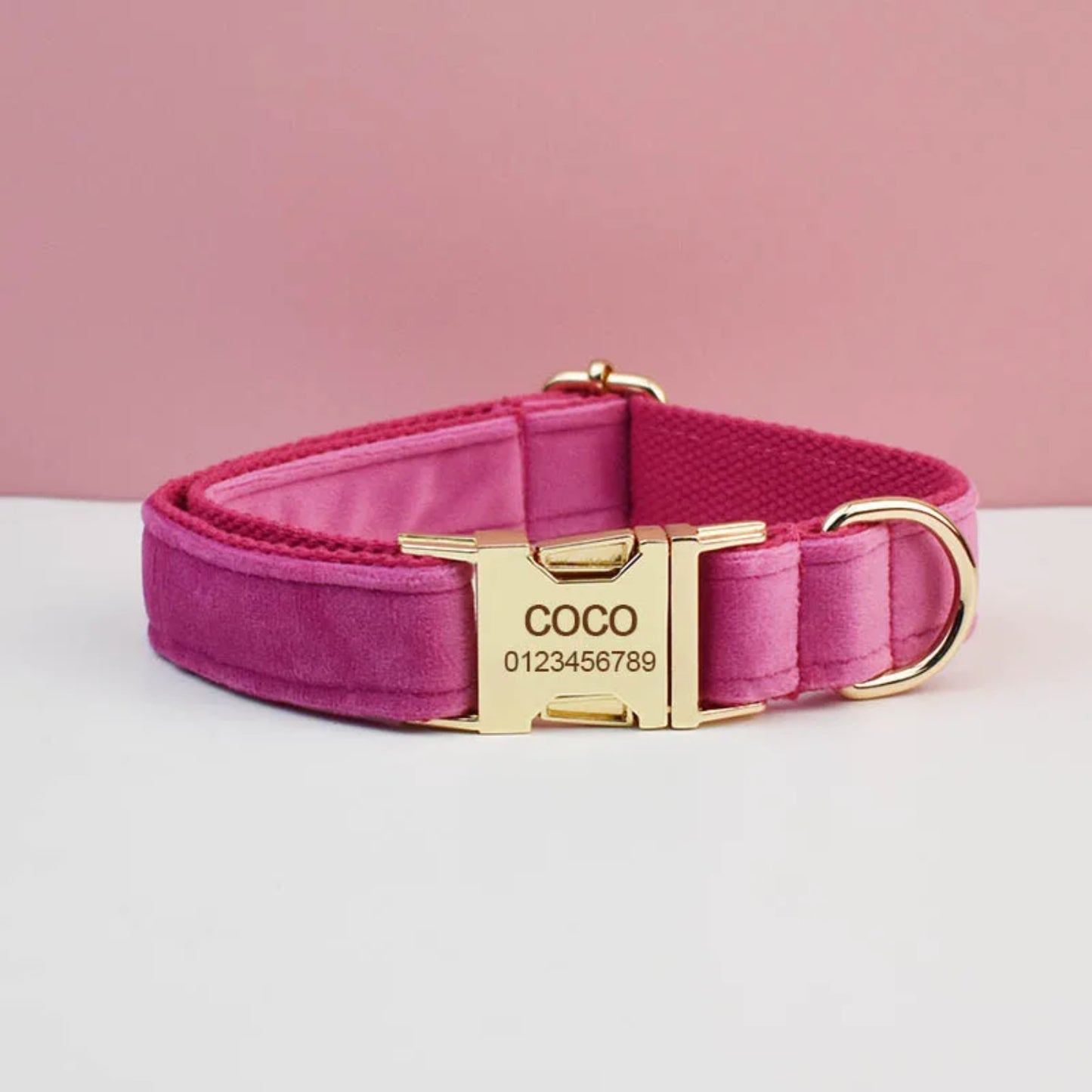 Halsband- und Leinen-Set für Hunde