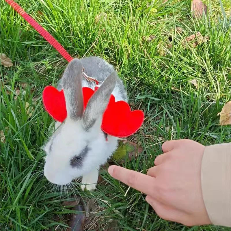 Imbracatura per piccoli animali con ali d'angelo